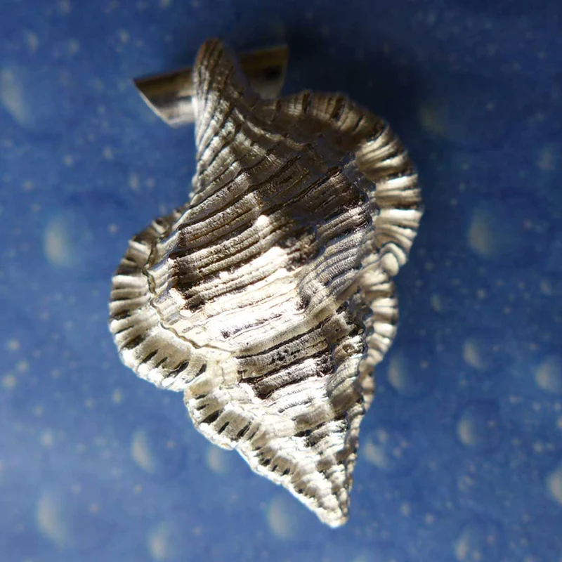 Anhänger Schnecke Tritonshorn l