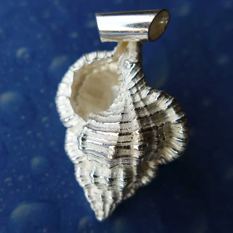 Anhänger Schnecke Tritonshorn l