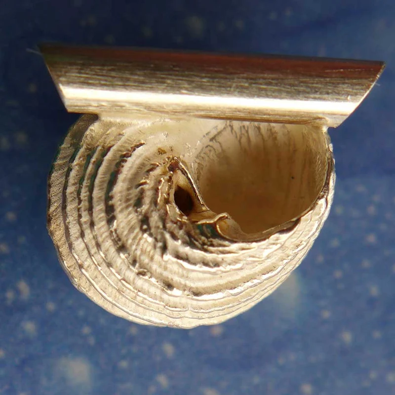 Anhänger Schmuck Mass Schnecke