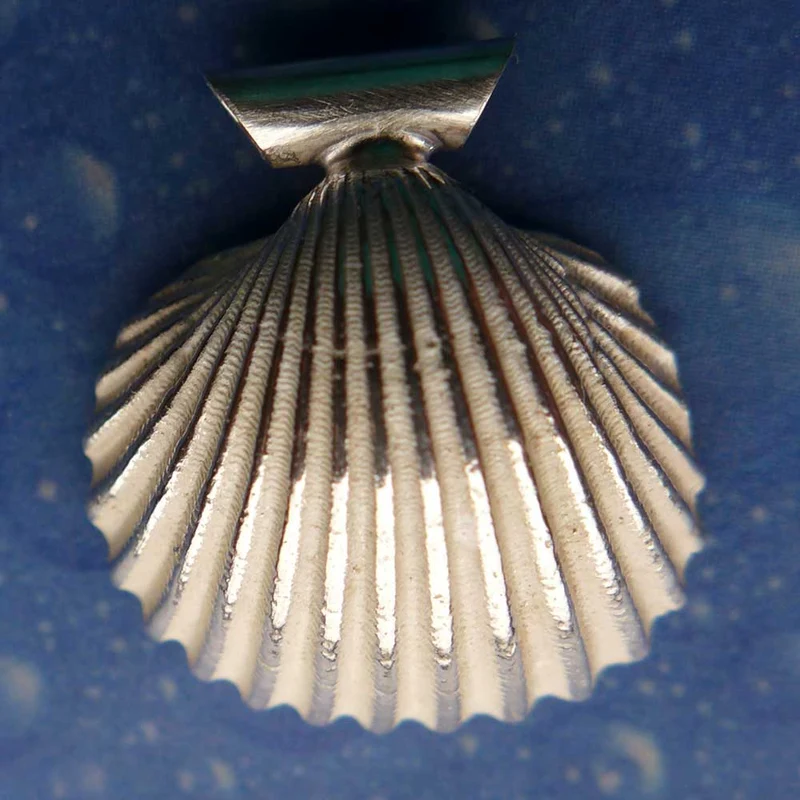 Anhänger Muschel Schmuck Genarbte Arche