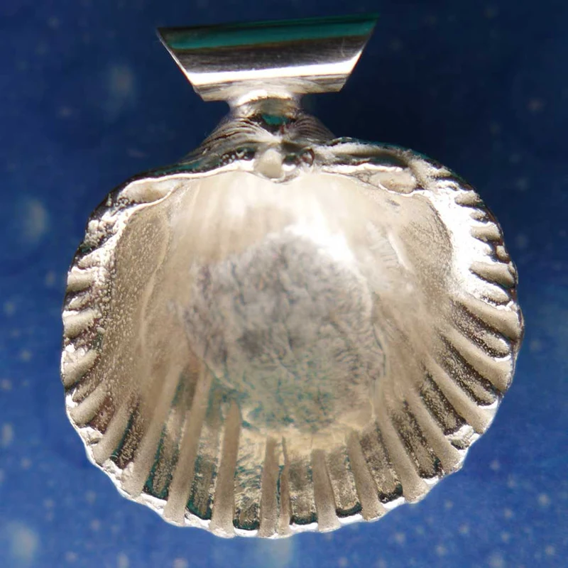 Anhänger Muschel Schmuck Genarbte Arche