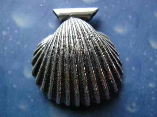 Anhänger Muschel Schmuck Genarbte Arche