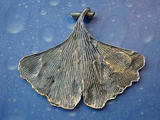 Anhänger Ginkgo Blatt Silber m