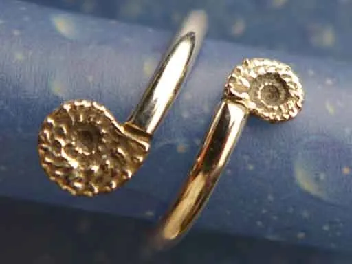 Ammoniten Ring