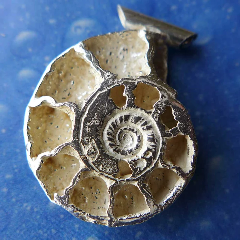 Ammonit Anhänger Schmuck Silber s f