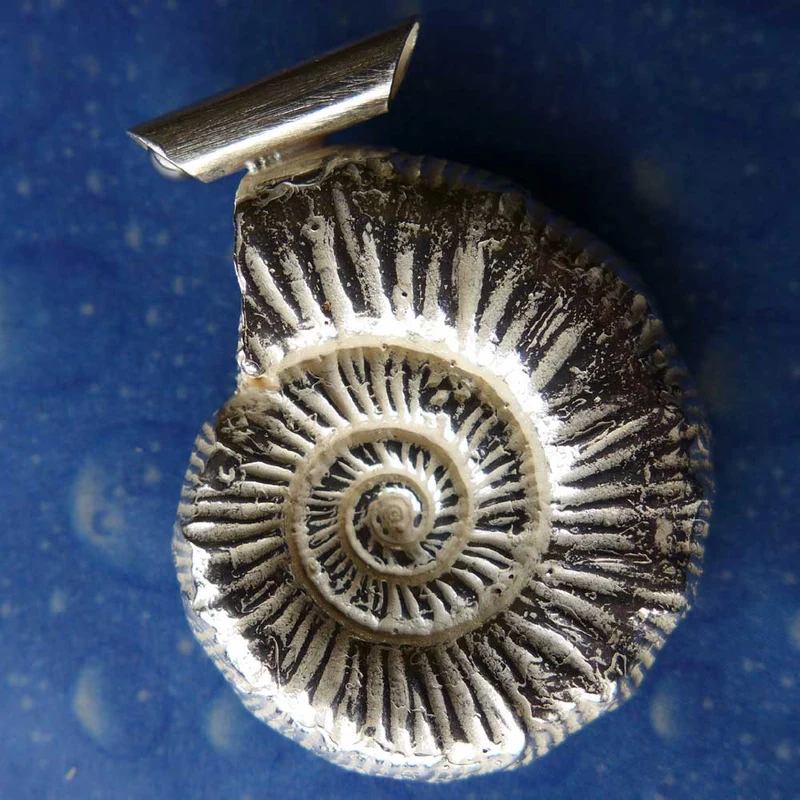 Ammonit Anhänger Schmuck Silber s f