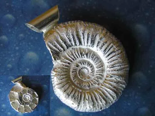 Ammonit Anhänger Schmuck Silber s f