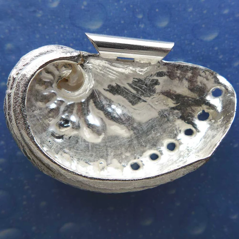 Abalone Schmuck Silber Anhänger xxl