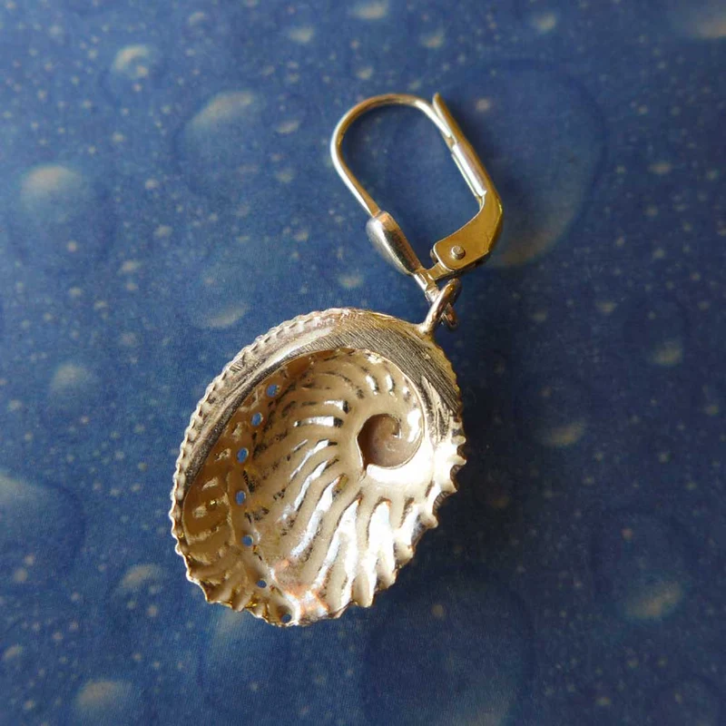 Abalone Ohrringe Schmuck online