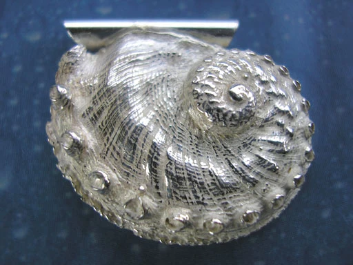 Abalone Meerohr Schmuck Anhänger
