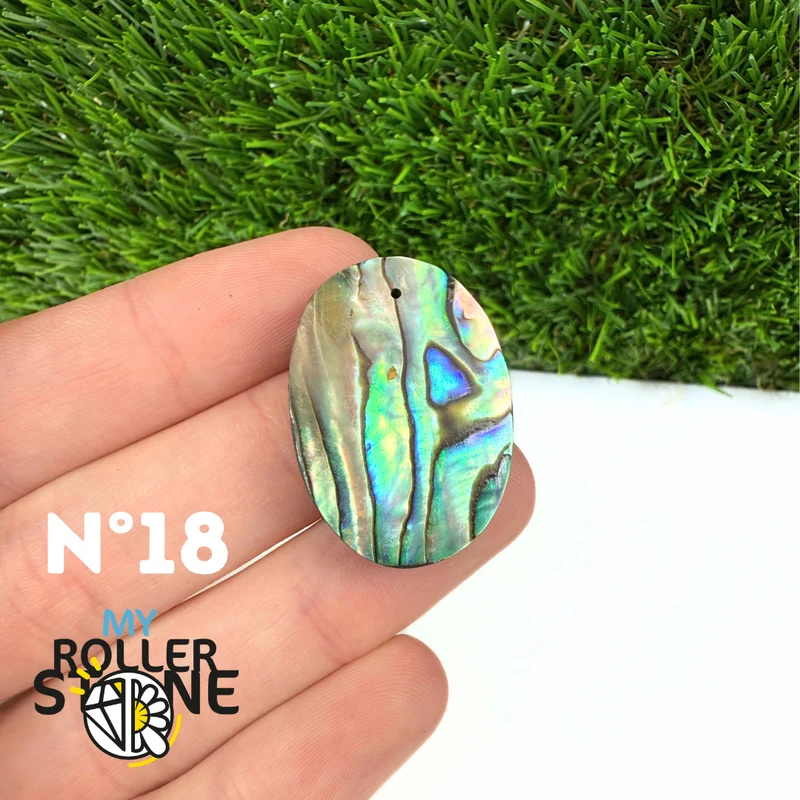 5A Freiform-Abalone-Anhänger