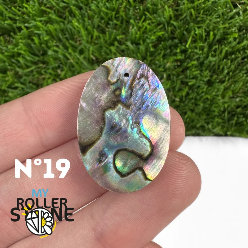 5A Freiform-Abalone-Anhänger