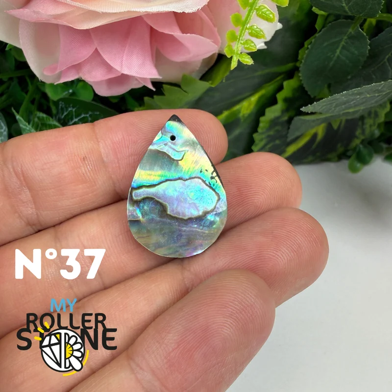 5A Freiform-Abalone-Anhänger