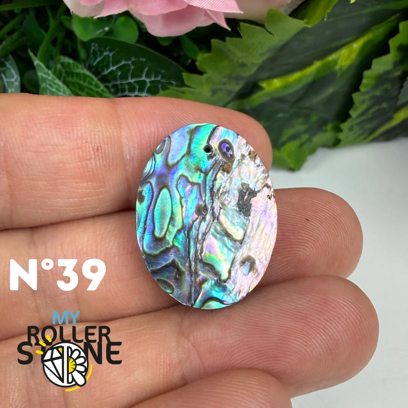 5A Freiform-Abalone-Anhänger
