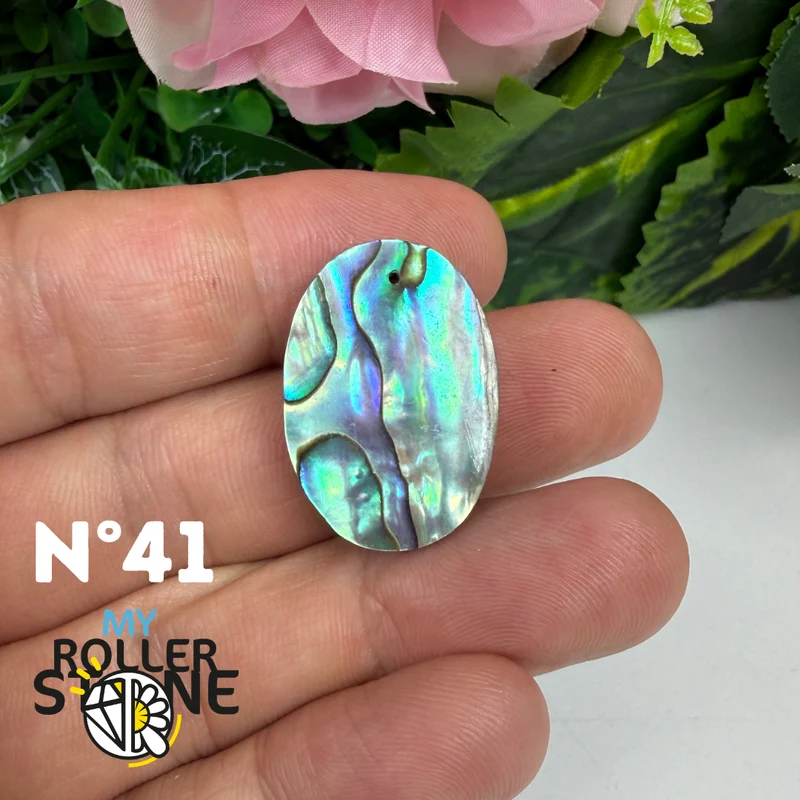 5A Freiform-Abalone-Anhänger