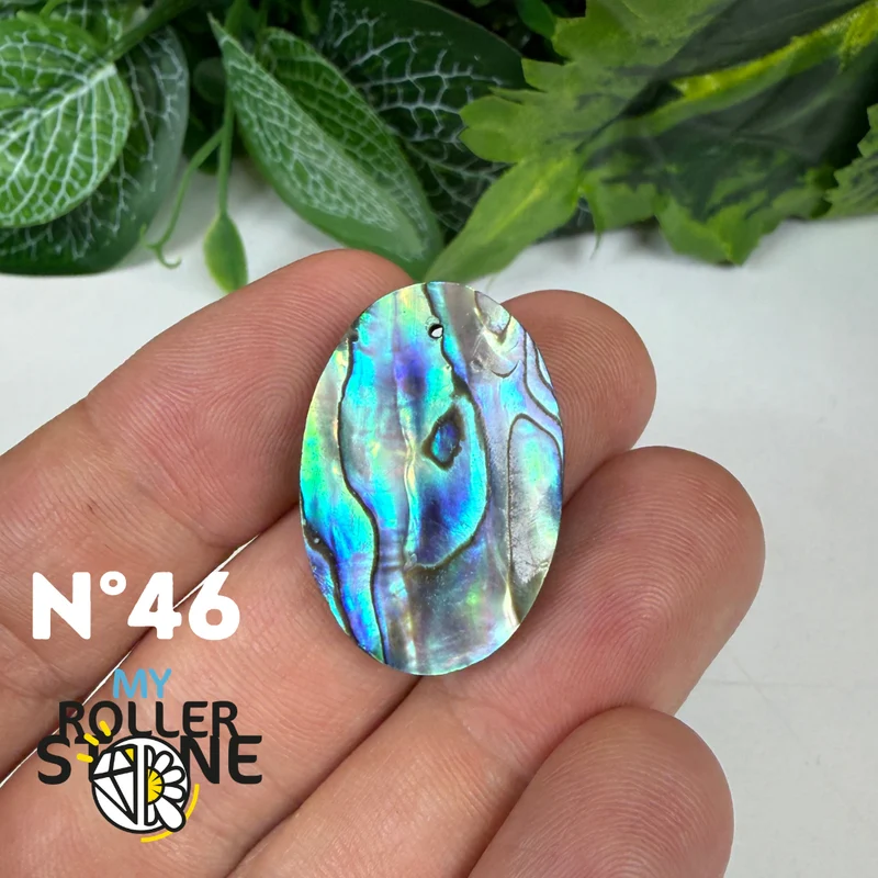 5A Freiform-Abalone-Anhänger