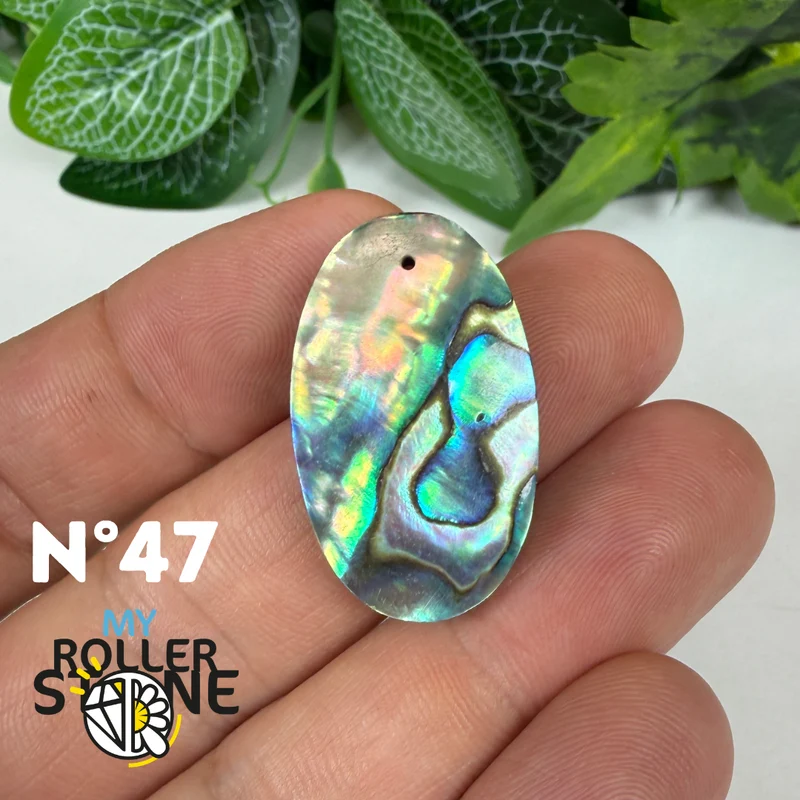 5A Freiform-Abalone-Anhänger