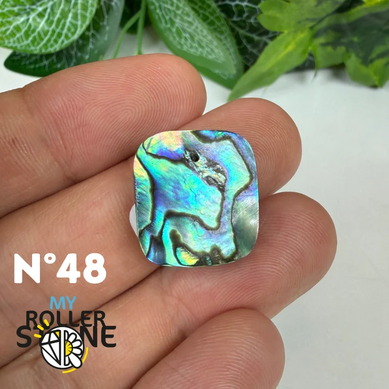 5A Freiform-Abalone-Anhänger