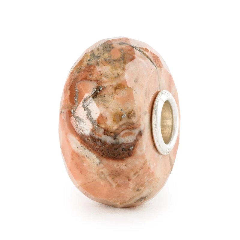 Fossile Muschel