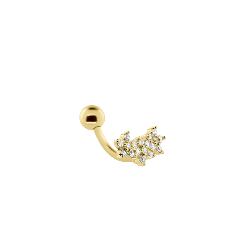 Carter Crystal Ohr Piercing