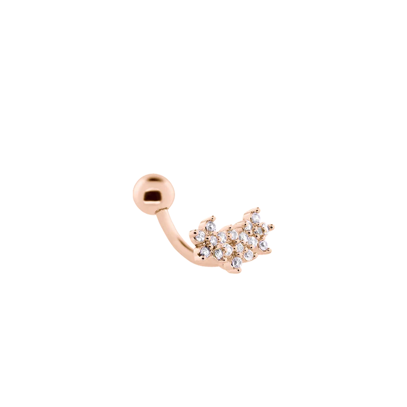 Carter Crystal Ohr Piercing