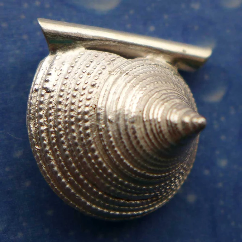 Schmuck Kreiselschnecke Anhänger