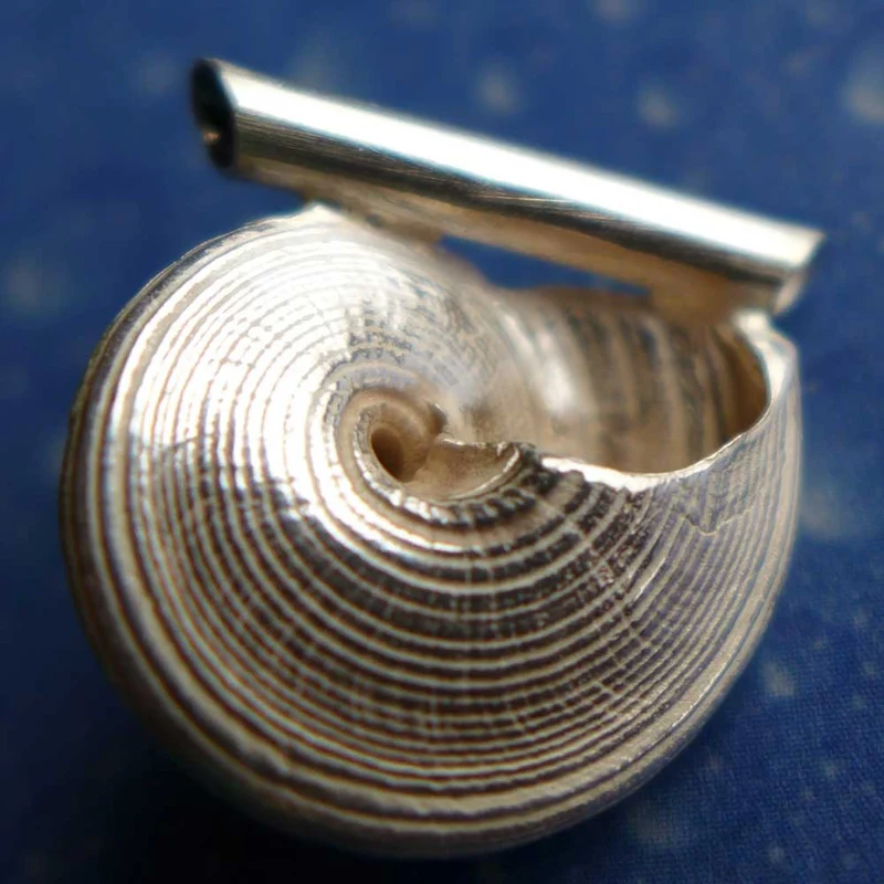 Schmuck Kreiselschnecke Anhänger