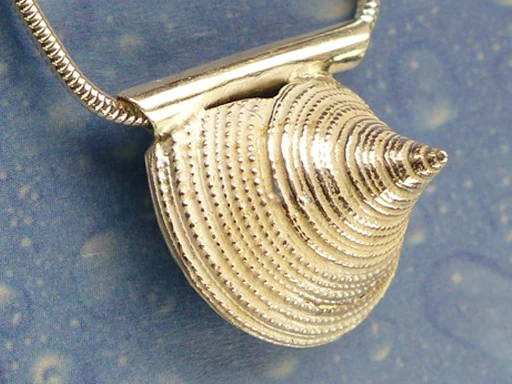 Schmuck Kreiselschnecke Anhänger