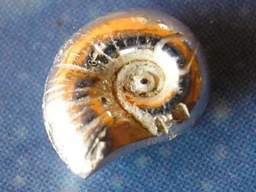 Schmuck handgemacht Lagune Ohrstecker xs