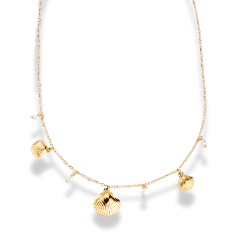 Elegant Shell Charm Kette 14K Vergoldet