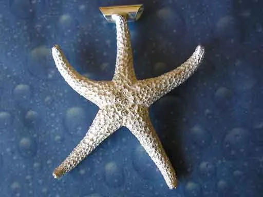 Schmuck Design Seestern Anhänger xl G