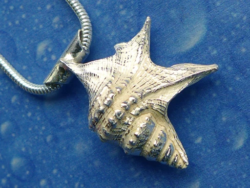 Schmuck Design Schnecke Pelikanfuß s A