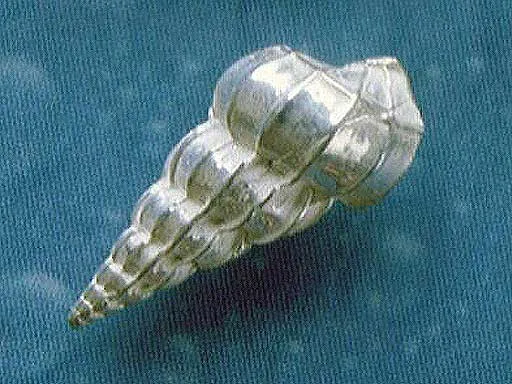 Schmuck Design Ohrringe Wendeltreppe s