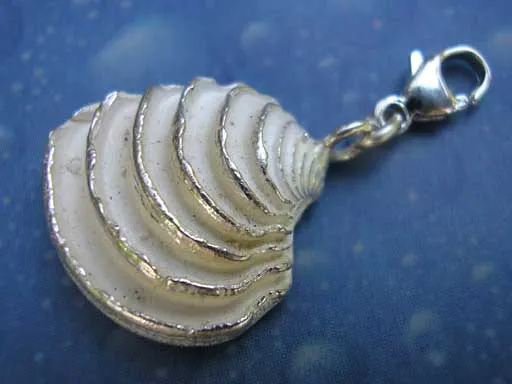 Schmuck Charm Venus Muschel St m