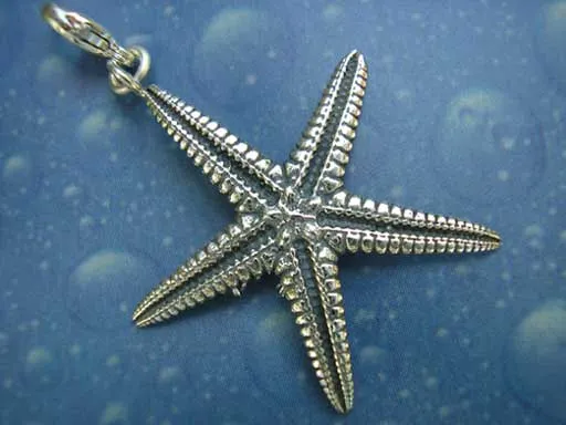 Schmuck Charm Seestern Silber m