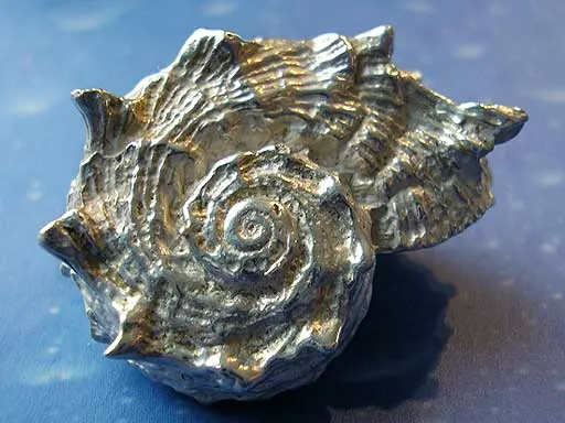 Schmuck Anhänger Delfinchen Schnecke
