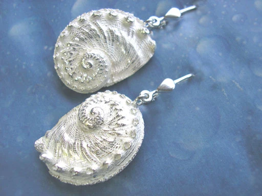 Schmuck Abalone Meerohr Ohrhänger Australien
