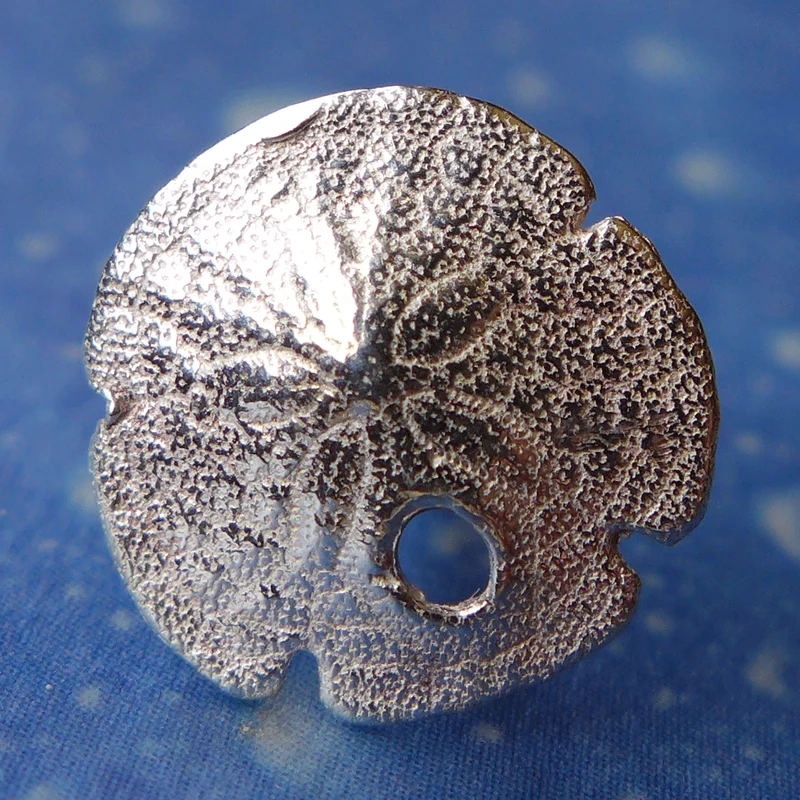 Schmuck Seeigel Sanddollar Ohrstecker xxs