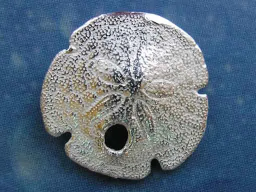 Schmuck Seeigel Sanddollar Ohrstecker xxs