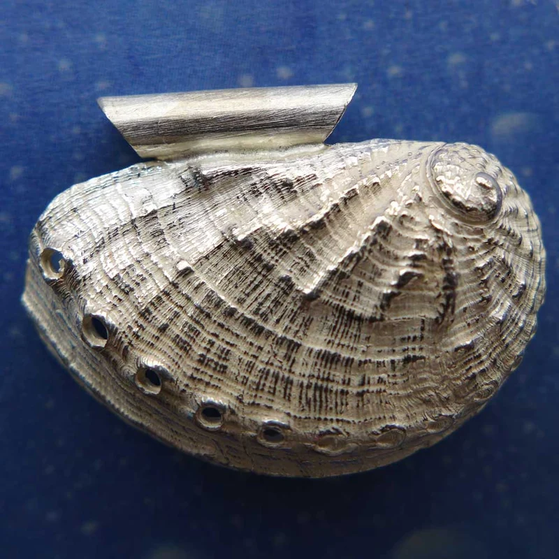 Schmuck Schnecke Anhänger Meerohr