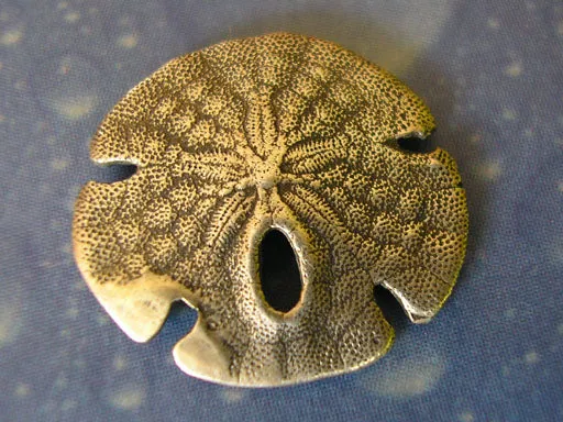 Sanddollar small Pin