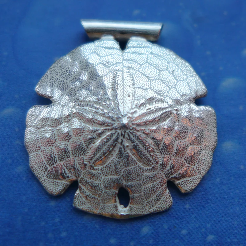 Sanddollar in Silber Anhänger Schmuck xm