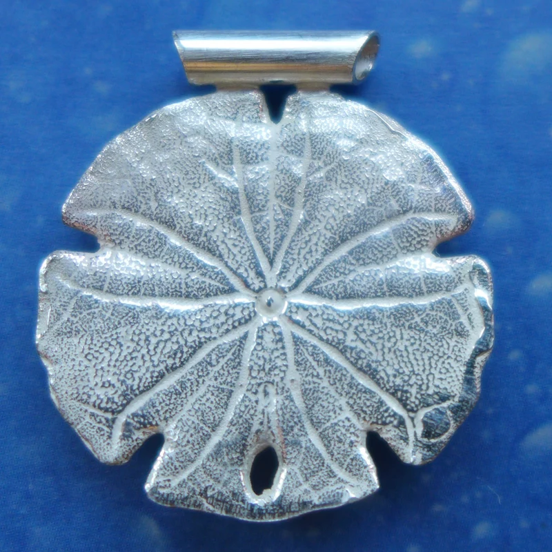 Sanddollar in Silber Anhänger Schmuck xm