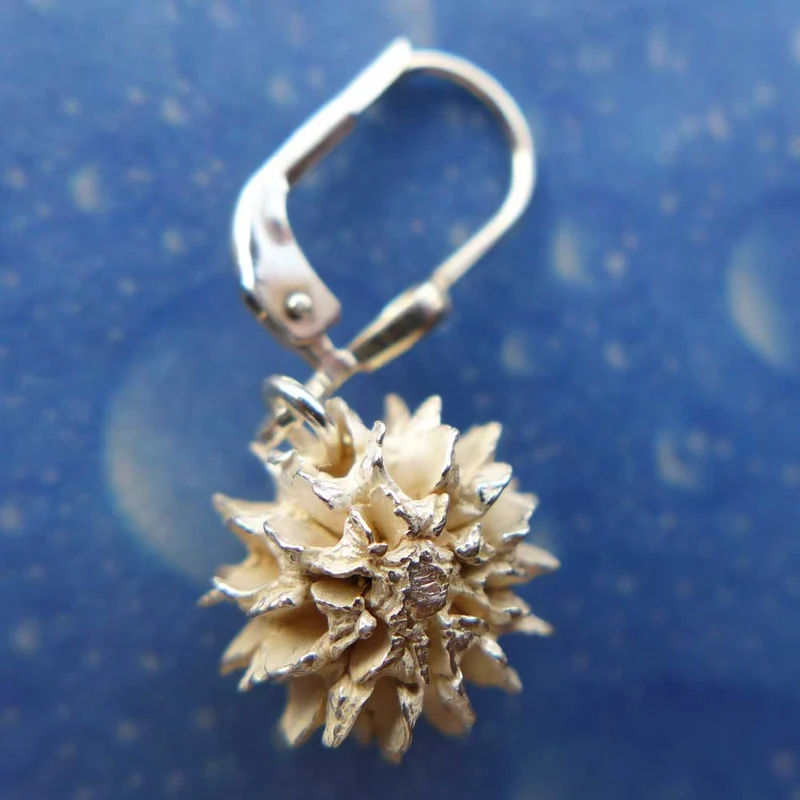 Samen Schmuck Casuarine Ohrhänger