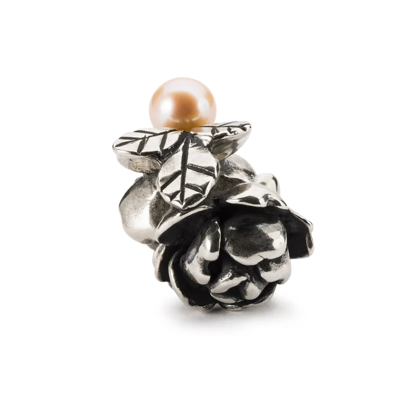 Stolze Rose