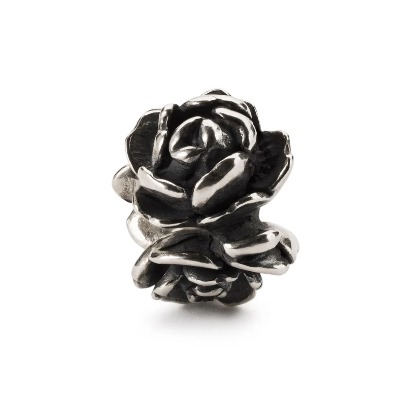 Stolze Rose