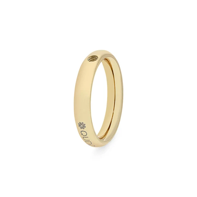 Slim Gold Interchangeable Ring, Size 60