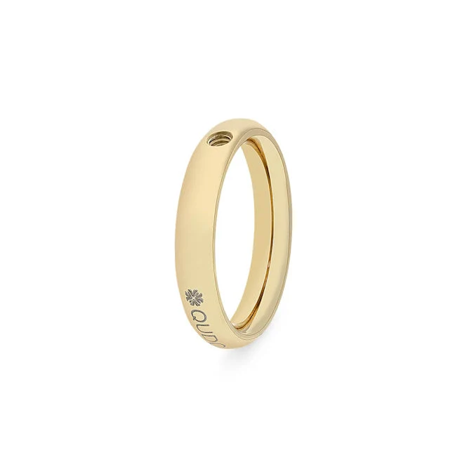 Slim Gold Interchangeable Ring, Size 58