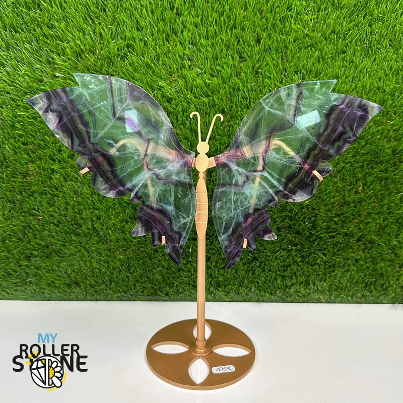 Regenbogen-Fluorit-Schmetterling