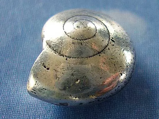 Reif für die Insel Ohrstecker Knopf m